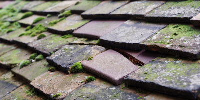 Powick roof repair costs